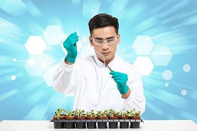 《巫师3》次世代版DLC血与酒演示 陶森特绝美风景